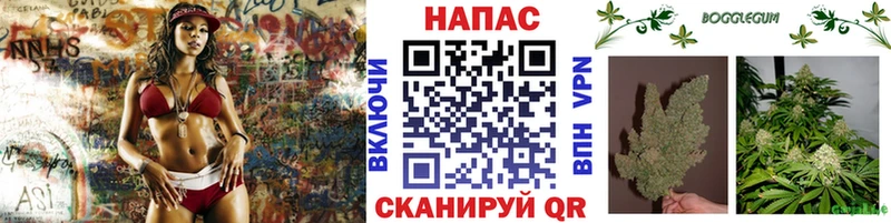 сколько стоит Невинномысск OMG зеркало Каннабис сатива